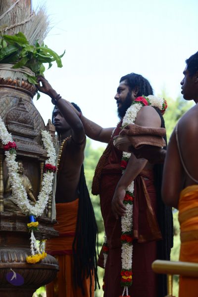 File:20170101 Photo 1665 1Vkl9VwNpC5a JcxDISAYOR7EnKi6C f2.JPG