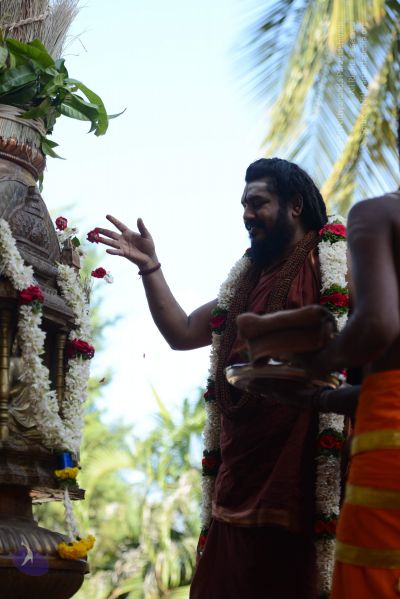 File:20170101 Photo 1668 12DoFHtf63 WZaQnN1vWXLM28QfVMEw5I.JPG