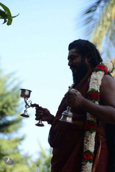 File:20170101 Photo 1670 1kGkOKSBcurUnR9m7VLtFn76hAEzlIRht.JPG