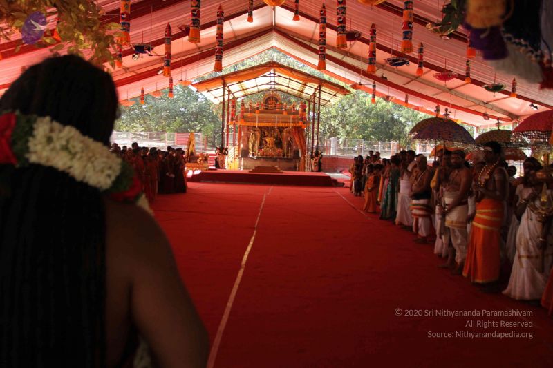 File:20170101 Photo 1679 1A-gQhTedmZgf8RE87TRHd6RRO3jBQvc .JPG