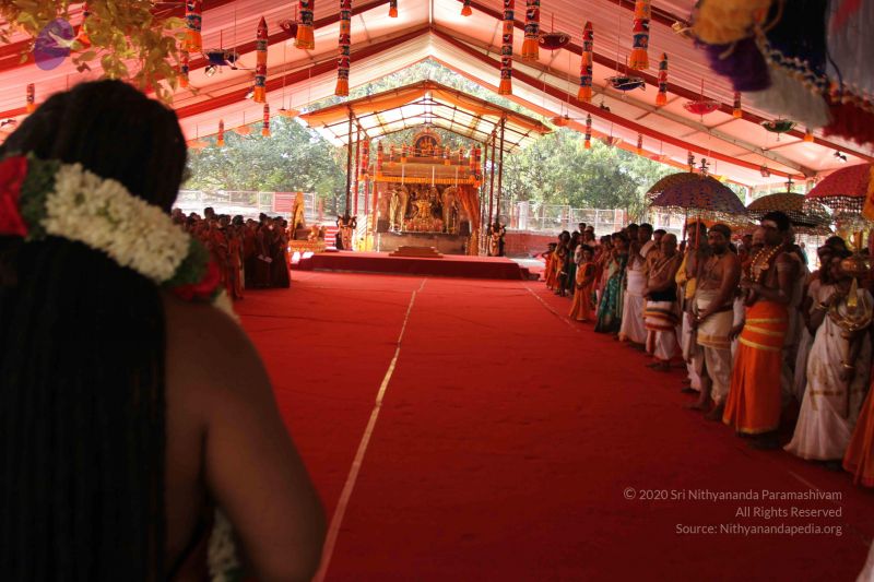 File:20170101 Photo 1681 1mkDB7TXtibjdfIUtLlPy7yraJuu9Yiw .JPG