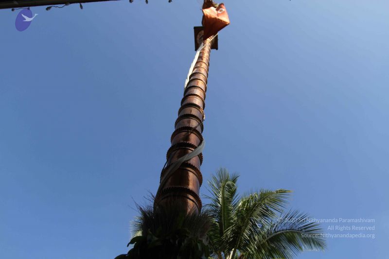 File:20170101 Photo 1692 1ISgsa1t6KpaWpnecPllIaKkSv1n60yeo.JPG