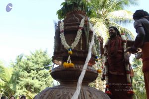 20170101 Photo 1694 1sLW wgBXHJtsj1upL0 lVA8Q5eYTmApm.JPG