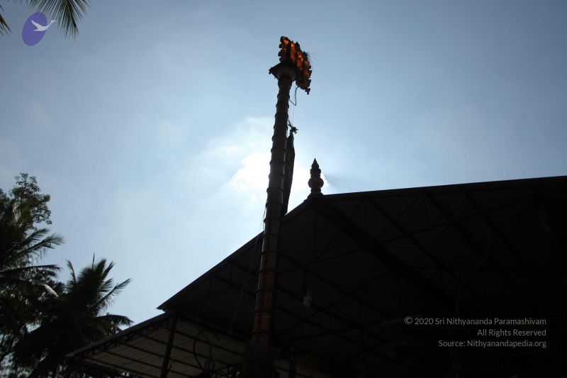 File:20170101 Photo 1710 1-b4gKPRSmYefb-WvWMCZYORLvy1aEtaq.JPG