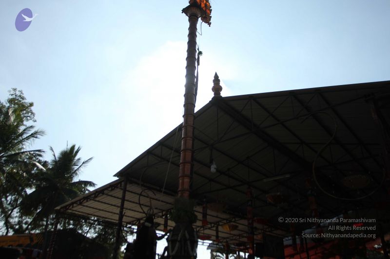 File:20170101 Photo 1711 1D-6PuXGMsrKb80cLjeDZZr7Ndo2wNiwe.JPG