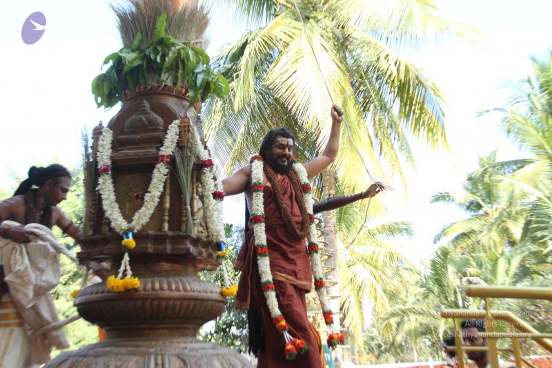 File:20170101 Photo 1715 1hTwYZkvoccsHKdqMvu90l203Q7Xb Huk.JPG