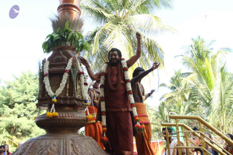 File:20170101 Photo 1722 1Q7g3bagHauJpdUj9CZjdbWpNrDFmMWQz.JPG