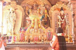 20170101 Photo 1746 16QR0-4LApWvc6YcChOWTgwnlbV0Q9IQy.JPG