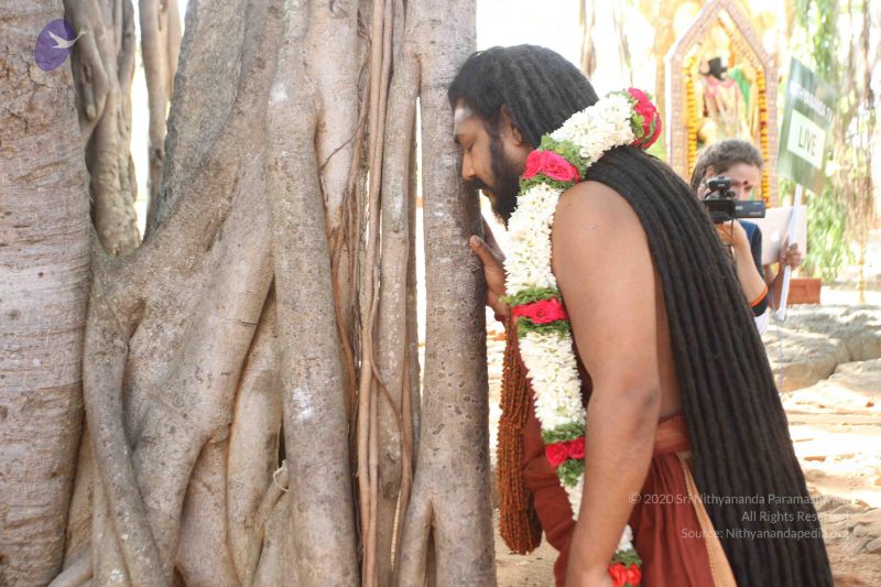 File:20170101 Photo 1766 10yyXaNhW7uU2C-rhex6jVnlvQa8XBXPW.JPG