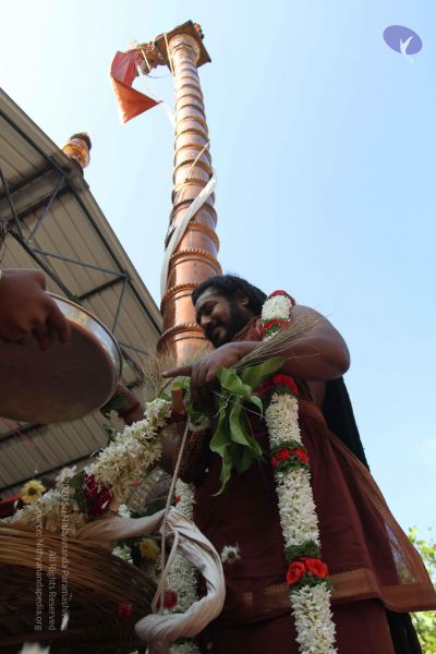 File:20170101 Photo 1856 19mta2hEhjq2sDIFzdmt5Bd-5wDkr6eS8.JPG