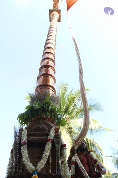 File:20170101 Photo 1862 1EdFBLi6XxX swaBQO0nLN7eY9UTexSX .JPG