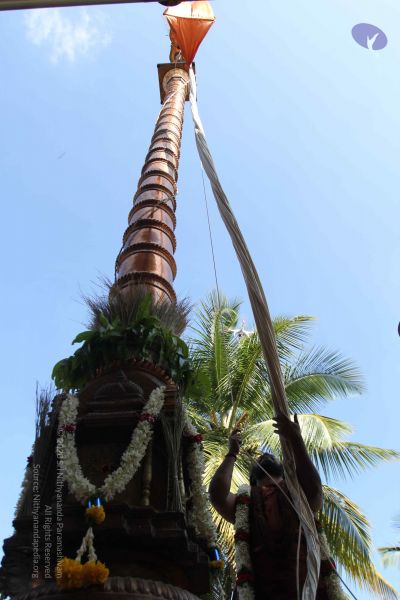 File:20170101 Photo 1863 19PD4GQzSXJTB8N3FiAVVILF6uXUvYqEy.JPG