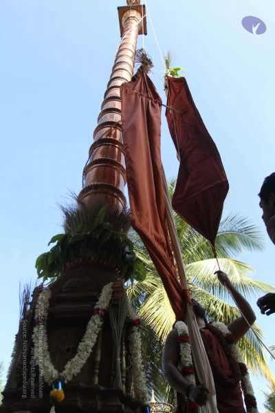 File:20170101 Photo 1874 1VEV5U1aHPS6DvLF7rddrMiEpr yBEFns.JPG