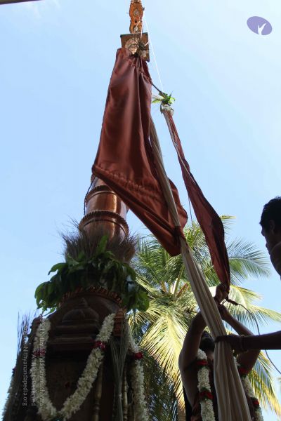 File:20170101 Photo 1877 15ZwIYPAEiX7wP6gJtfCNm9dJgnaEot0D.JPG