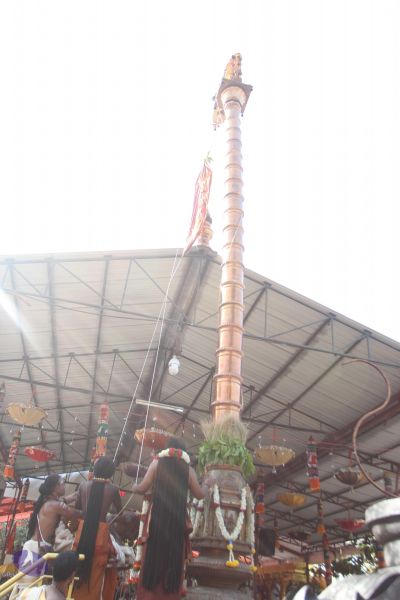 File:20170101 Photo 1884 1IJ8pPMEKZZajnZKEgtfHr2VCSH2aMHgq.JPG