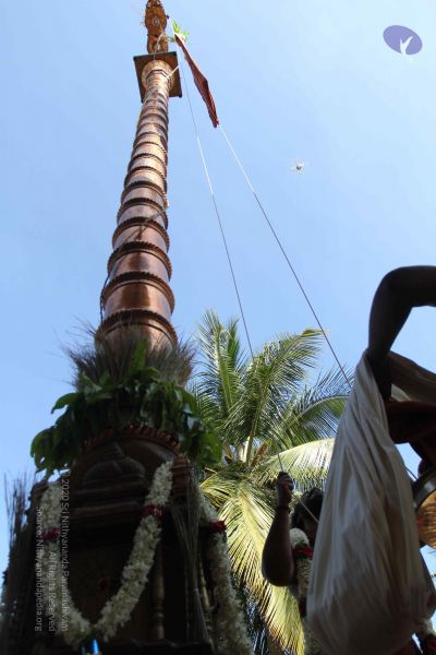 File:20170101 Photo 1891 1NszhcEHum1DHV1qPdwo69lNbv5ZCyYkw.JPG