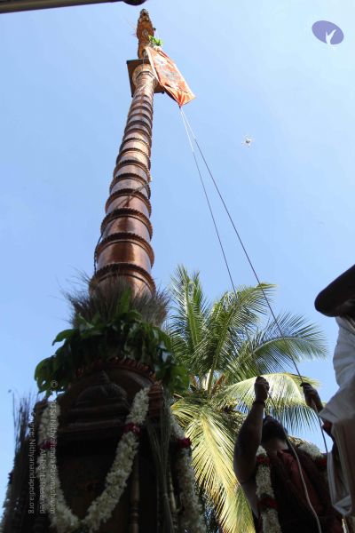 File:20170101 Photo 1892 1yMhX7EoxjDrzv1h1fhEcZs4M0NaRyjPl.JPG