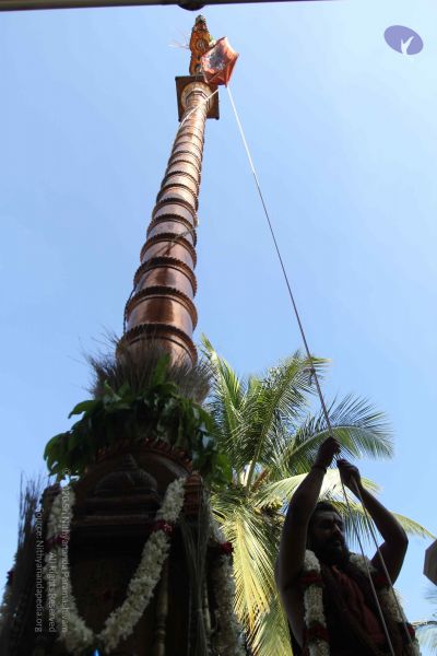 File:20170101 Photo 1896 1X9deZReDuIoUm93RB3DDOOVFChMb5N3H.JPG