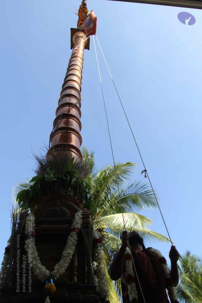 File:20170101 Photo 1905 1MX3GZThMHKaA8toyaksT8TnGVo0t7qgl.JPG