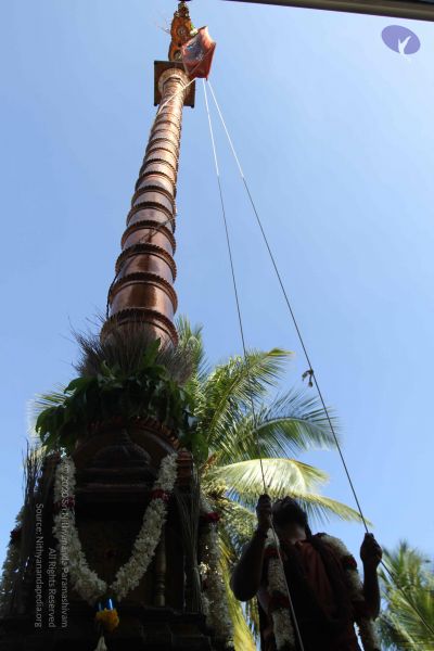 File:20170101 Photo 1908 1UAKRC8syjmyRj4q9sUEcxoK WHM0yFw5.JPG