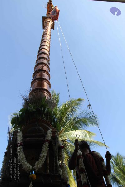 File:20170101 Photo 1915 16yaXLzBKqA4nUukaSZ-SZKpmPWaKlr4p.JPG