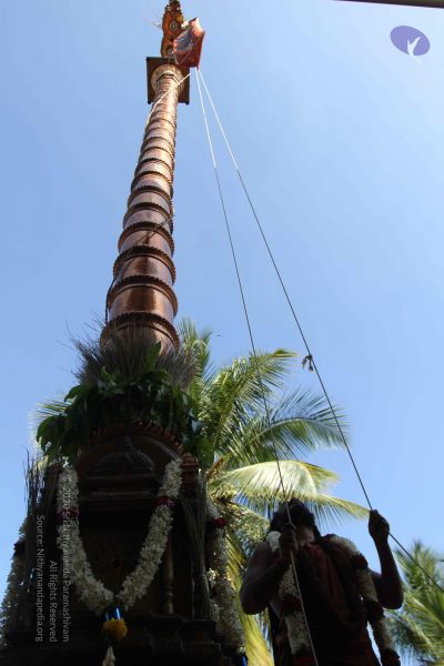 File:20170101 Photo 1917 1MdIWMX4uCwVgTeGrPPcgYZkkaiZt7CaE.JPG