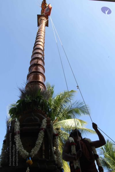 File:20170101 Photo 1918 1wJiiB4UTUMXmsWZv15YAITDRtoO5eQKD.JPG