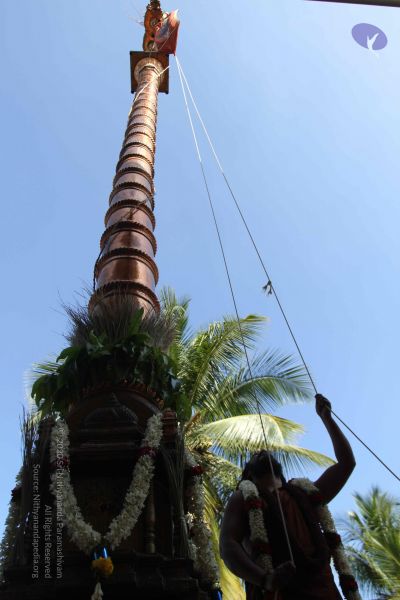 File:20170101 Photo 1919 1UHUe9UPuzfZ2ZYmC9ZidhaugF0X9lj-u.JPG