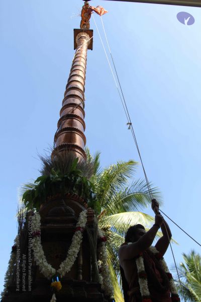 File:20170101 Photo 1929 1PvNu-OO13Thf-rqRWeVBF9XI0ys4s Bq.JPG