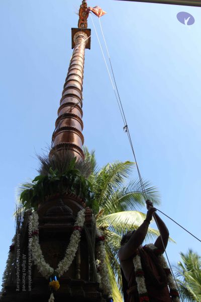 File:20170101 Photo 1931 1Y4KIIDECaW5-1-TSrYawW-7TgLgQzwRy.JPG