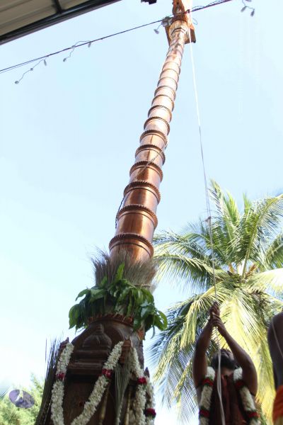 File:20170101 Photo 1934 12mzyfB--yMgdn0HvwQ7GN5DX3dw5UWoX.JPG