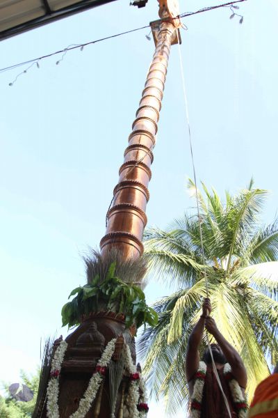 File:20170101 Photo 1935 1o-sv VTSTz 23gn-8Hmk2IN-sZuXAI6I.JPG