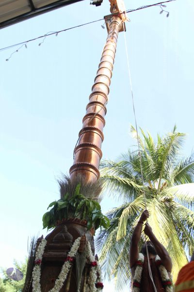 File:20170101 Photo 1936 12aYIQTkCt-mUcNUtQOTXNdEEfFhbSi22.JPG