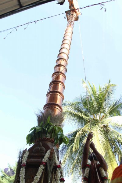 File:20170101 Photo 1937 1hKfi-ThGxZjSAHjSx6ifM UW6yCSTjdP.JPG