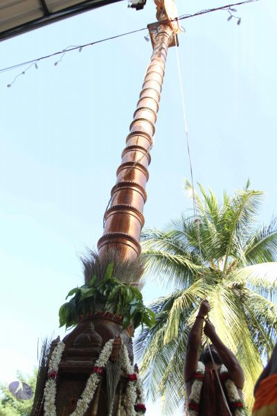 File:20170101 Photo 1938 18opfj1-4yL9DfIo939TR-PQzmJSWnMUi.JPG