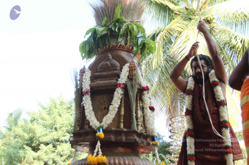 File:20170101 Photo 1939 1xHlno0-DgU5LSuTQbHxaP3Ln0JzZWoaC.JPG