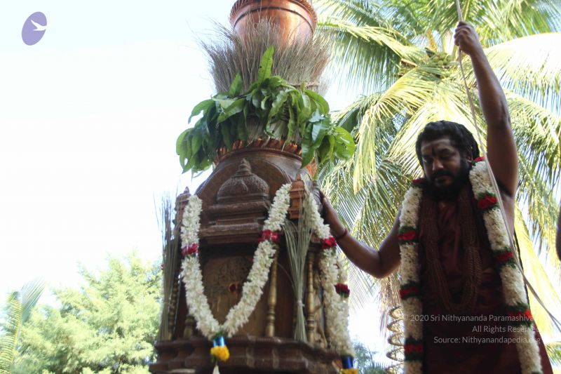 File:20170101 Photo 1944 1ROcG5cFyM2C4GDxD7vZnoSFocgoIcW02.JPG