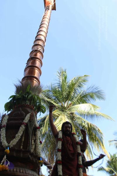 File:20170101 Photo 1966 1dHKr95U6lH0qAzNFA3vpOrKFkpvh7Rxv.JPG