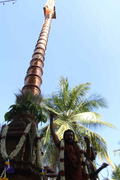 File:20170101 Photo 1969 1JVYCQVCwyZz5zMHbRinzaPwiqvj2LrWr.JPG