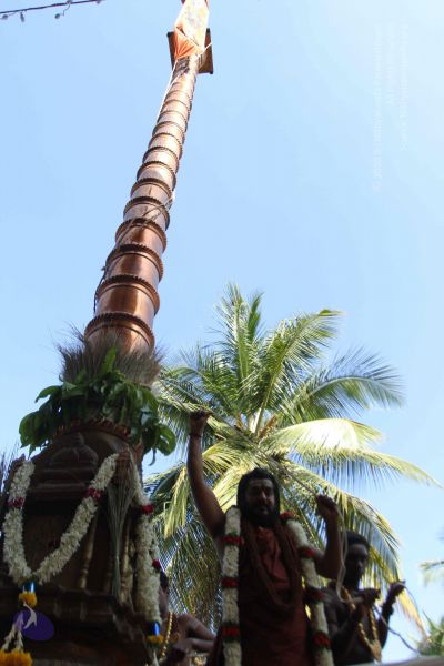 File:20170101 Photo 1978 1QZKTr--Jvi725kqSJf-kA7rtULfWYyfg.JPG