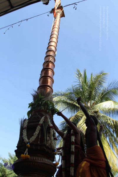 File:20170101 Photo 1986 1wXGziyhLksFF987mdFZ7nnEQoIIbPK7X.JPG