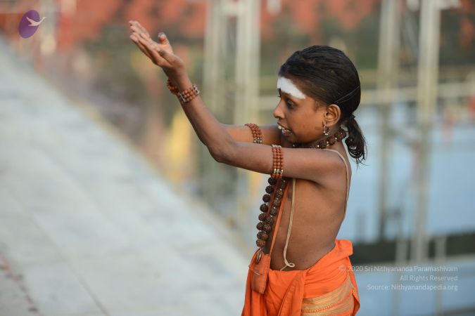 20170102 Photo 1019 1bWW3cw7I4LmYOH3EbfsNFzVjhKinSisH.JPG