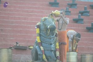 20170102 Photo 1036 10Tfj0Qfe4YWCYR8AJ9wmaW2G rSe j16.JPG