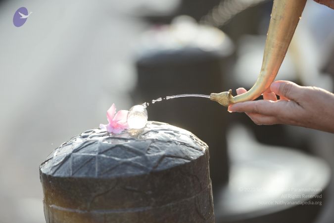 20170102 Photo 1044 19Xa6gqqhIJYGjarO HCof96em4VAOJwP.JPG