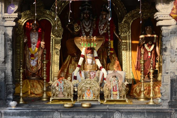 20170104 Photo 1044 1Ypzg-2714h2QGo2rquoAv9vMKtBcOmQ .JPG