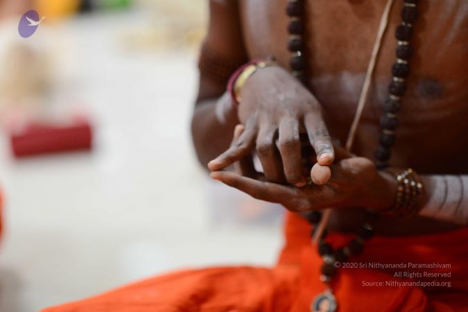 20170106 Photo 1004 1iv-ISJ5YxuijjMydv6Og2QEPy 94qInP.JPG