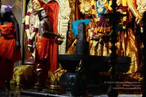 20170108 Photo 1005 1Zz6U-r-FmFNa4nLA76uxlqFrHL89dEPM.JPG