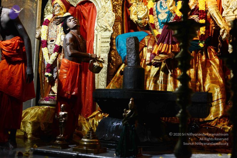 File:20170108 Photo 1005 1Zz6U-r-FmFNa4nLA76uxlqFrHL89dEPM.JPG