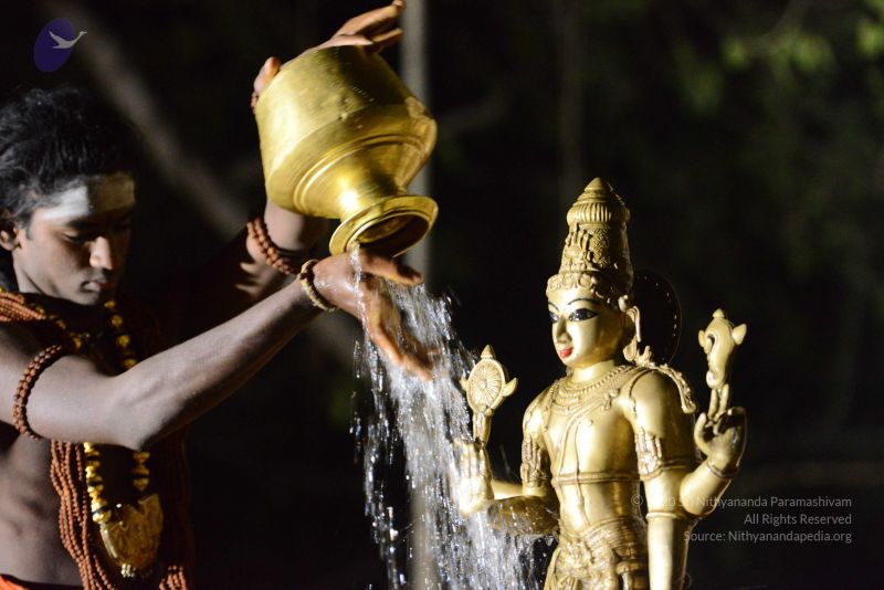 File:20170108 Photo 1012 1d51MX5UHJcsjRlOf0fJphIw0YFP9MhaK.JPG