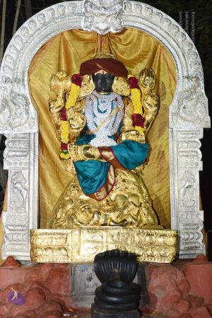 20170108 Photo 1013 1dFapQndDrrdJaf DNwG6XkajDpBCa0wE.JPG